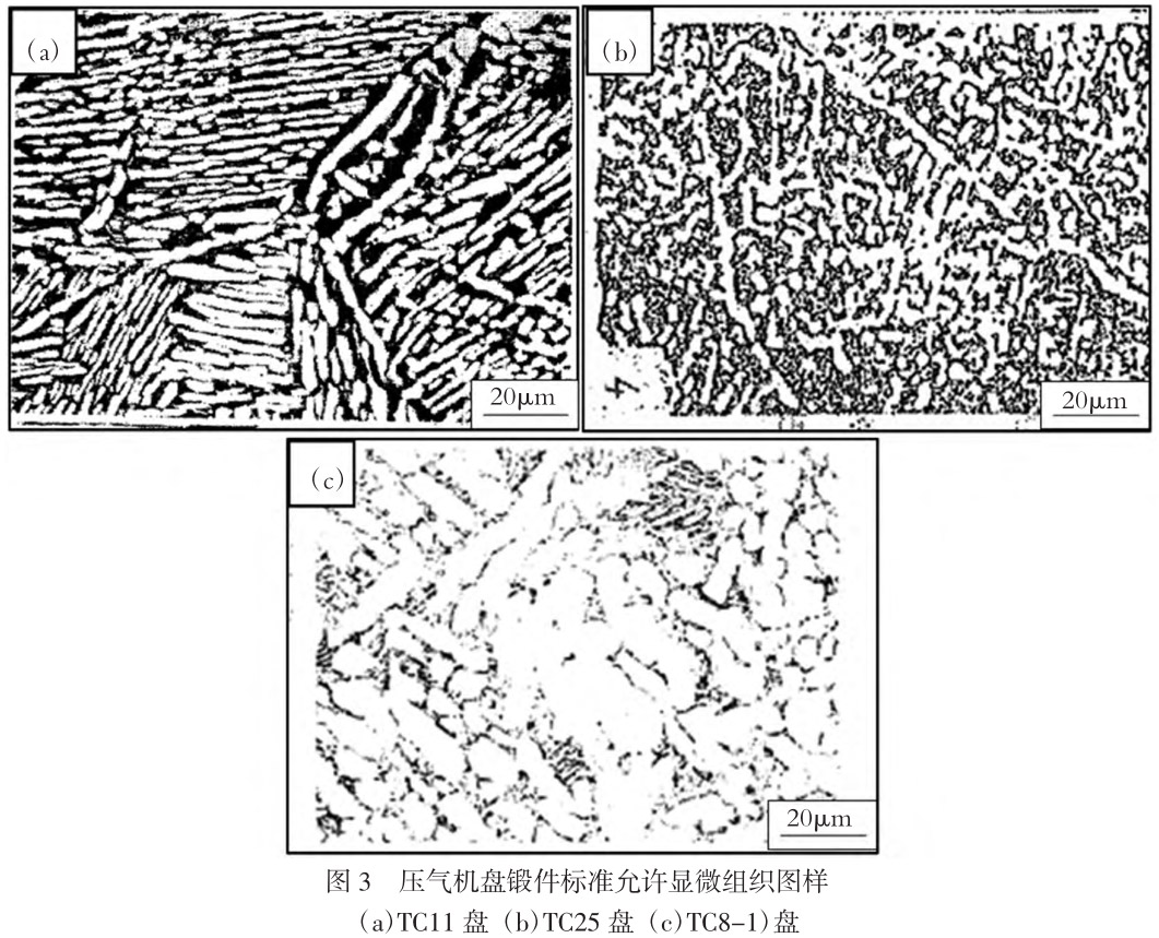 1713519632610793.jpg t3.jpg