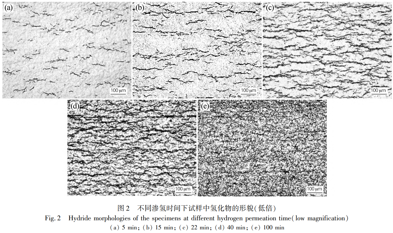截圖20250113213541.png